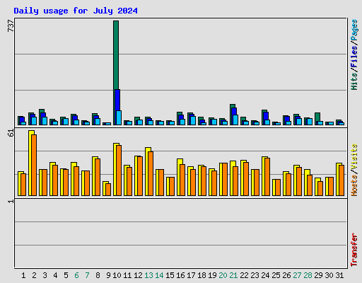 Daily usage for July 2024