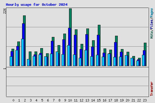 Hourly usage for October 2024