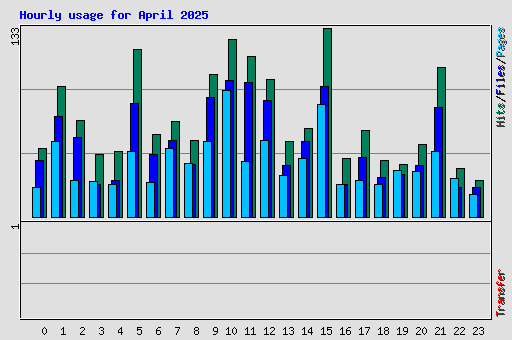 Hourly usage for April 2025