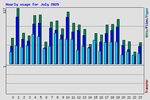 Hourly usage for July 2025